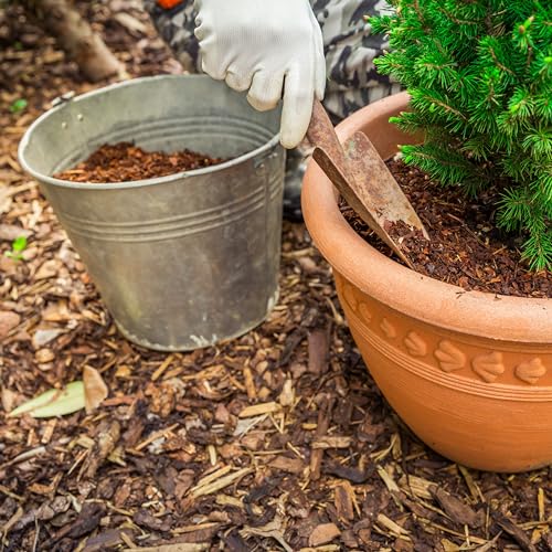 GARDENWISE Premium Eucalyptus Wood Mulch for Indoor, Patio, Potting Media, Gardens, Lawns, and Landscaping (0.3 CF - 8 L - 9 QTS) - color: Eucalyptus Wood Mulch, size: 0.3 CF - 8 L - 9 QTS