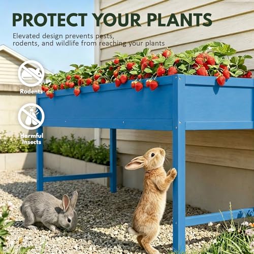 PASAMIC Raised Garden Bed with Legs, 48" HIPS Sturdy Elevated Planter Box - color: Blue, size: 48x24x30in