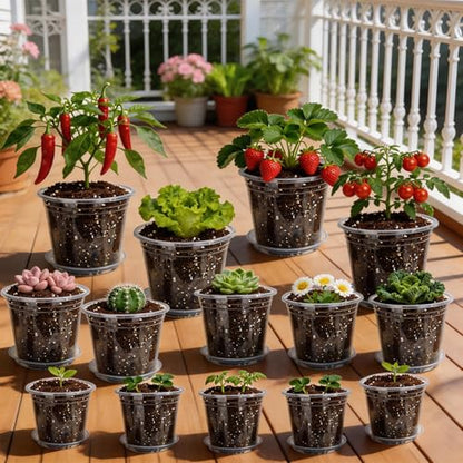 4/5/6 Inch Clear Nursery Pots with Drainage and Saucer for Multiple Crops