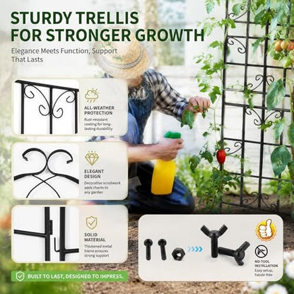 4-Pack 71" Black Metal Garden Trellises with Butterfly Design - color: 4 Pack 71"- Butterfly Scrollwork