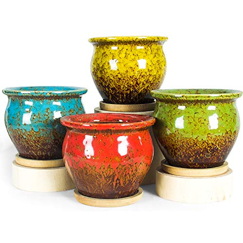 Succulent Pots, 4.5 Inch Small Plant Pots with Drainage Tray - color: Colorful