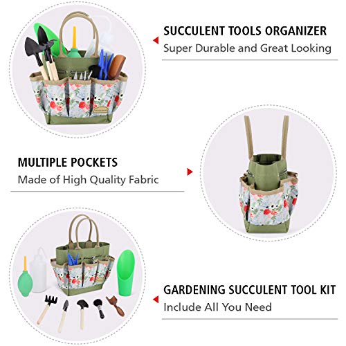 G GOOD GAIN Garden Succulent Kit with Organizer Bag,15 Pieces,Rose - style: Rose