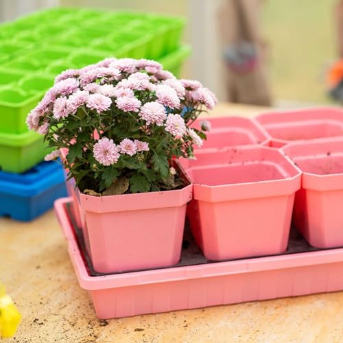 Bootstrap Farmer 1020 Trays, 10 Pack, Pink - Heavy-Duty 2.5" Deep Flats Without Holes for Microgreens, Fodder, Hydroponics - color: Pink