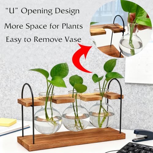 Plant Terrarium with Wooden Stand, Birthday Gift for Women Mom Plant Lover