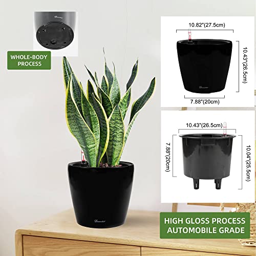 Dexceder 11x10 Self Watering Planter (Black High Gloss) - color: Black, size: 11x10