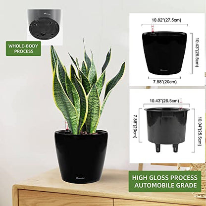Dexceder 11x10 Self Watering Planter (Black High Gloss) - color: Black, size: 11x10