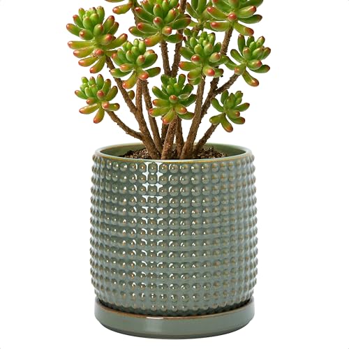 D'vine Dev Beaded Ceramic Pot with Saucer, 6 in, Olive, 27-C-X-0 - color: Olive, size: 5.8 Inch