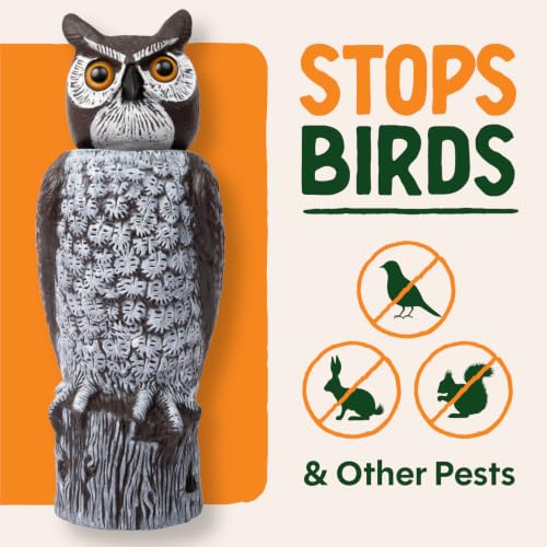 Dalen Large Rotating Head Fake Owl Decoy to Scare Birds Away - 18” Tall - Garden Scarecrow Owl with 360º Rotating Head - style: Rotating Head Owl