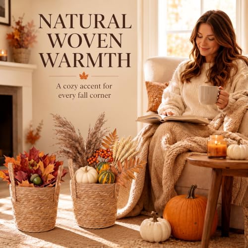Novabright 2 Pcs Fall Woven Basket Planter, Wicker Planter, 10'', Natural - size: 10''