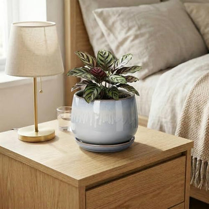 Ceramic Plant Pots 6 Inch, Indoor Flower Pots, Grey-White - size: 6 Inch, style: Grey-white