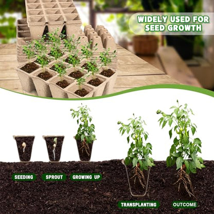 10 Packs Seedling Starter Trays, 120 Cells Biodegradable Seed Starter Plant Pots，Seed Germination Starter Tray Kit with 20 Labels, 2 Transplant Tools