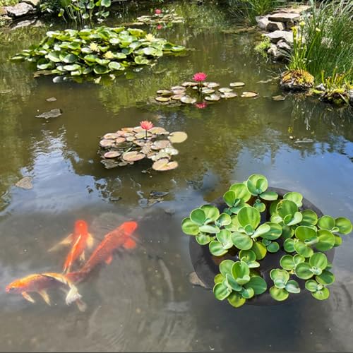 Pond Netting for Fish Barrier Floating Island Plant Protector, Flora Protects Your Plants from Pond Fish (1, 23.6in)