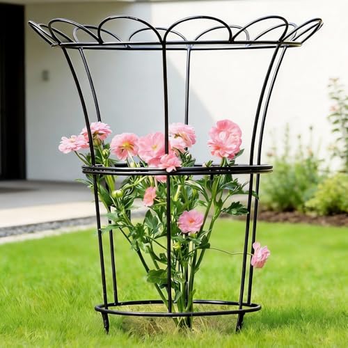 Heavy Duty Hydrangea Support - 26" Cast Iron Plant Support - color: Black, size: 25.5"x20"