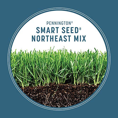 Pennington Smart Seed Northeast Mix 20lb, Grass Seeds for Lawn - size: 20 lb