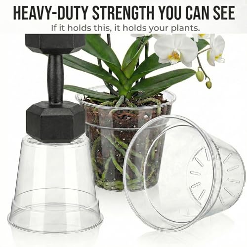 8/10 Inch Large Clear Nursery Pots with Drainage, 6 Pack - size: 10/8inch