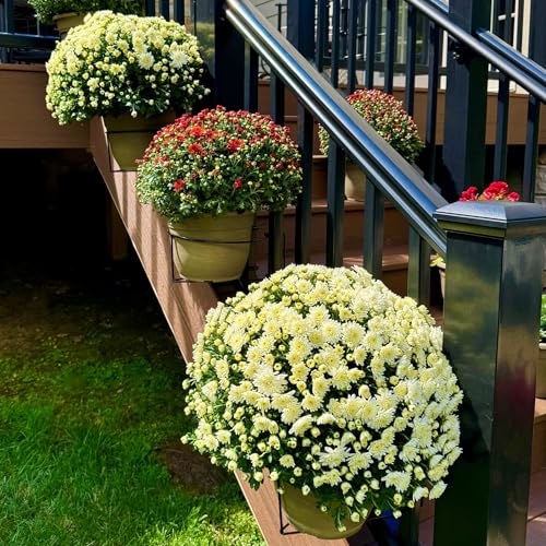 Bloem RailScapes Floating Railing Planter Clip | Suitable for Balcony, Deck, Indoors, Stairs | Easy Install | Fits Standard Wood, Vinyl and Larger Aluminum 1.25” - 1.5” Spindles - size: 1.25"-1.5" Thick Spindles