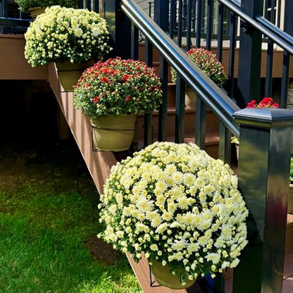 Bloem RailScapes Floating Railing Planter Clip | Suitable for Balcony, Deck, Indoors, Stairs | Easy Install | Fits Standard Wood, Vinyl and Larger Aluminum 1.25” - 1.5” Spindles - size: 1.25"-1.5" Thick Spindles