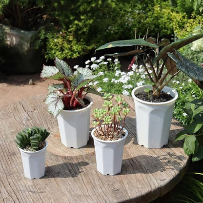 17 PCS 3.55" Plastic Deep Nursery and Seedling Pots, Transplant Seed Starter Planter, White - color: White, size: 3.55 inch