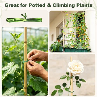 Natural Bamboo Poles, 2 Feet Bamboo Sticks for Plants, Wood Garden Stakes for Tomato, Bean, Flowers, Trees Potted and Climbing Plants, 75 Pack - size: 2FT-75PCS