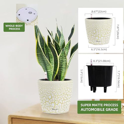 Dexceder 9x8 Self Watering Planter (White Gold Crackle) - color: White Gold, size: 9x8