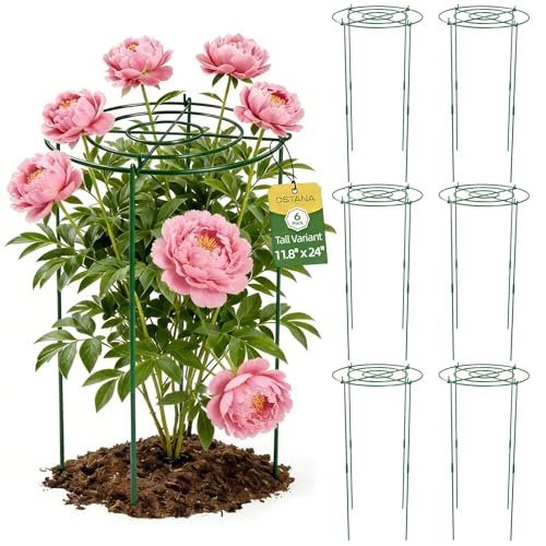 6 Pack Peony Cages and Supports, 12" x 24" Tall Peonies Support Cage