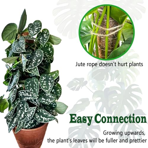 4 Pack 18 Inch Moss Pole, Stackable Moss Poles for Climbing Plants Monstera, Tall Plant Sticks Accessories, Large Coir Plant Support Stakes for Potted Plants Indoor, Pothos, Philodendron - size: 4 pack 18in