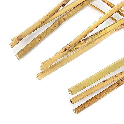 SWANGSA 6 Pack 4Ft Bamboo Trellis for Climbing Plants, Fan-Shaped Garden Ladder Trellis with 100pcs Twist Ties for Outdoor and Indoor Plant Support, Potted Plants, Cucumber, Tomato, Vine - size: 4ft