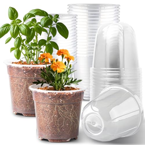 RooTrimmer 6 Inch Clear Nursery Pots with Humidity Dome, 30 Pack Reusable Seed Starter Pot with Drainage Holes, Transparent Plastic Plant Seedling Pots for Propagation Indoor Plants Outdoor Gardening - color: 6 Inch Clear Pots With Domes-30p, size: 6Inch