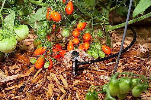Rain Bird MUF-SPK4S Drip Stake, Full Circle, 4-Pack - size: 4-Pack, style: Umbrella on Stake
