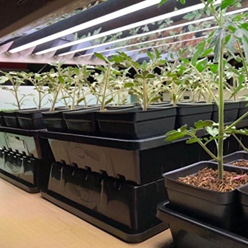Bootstrap Farmer 32 Cell Seed Starter Kit, 2-Pack with 6 Inch Domes and Heavy Duty 1020 Trays, Reusable Propagation System for Commercial Growers - size: 2 Cell, 2 Flat, 2 Dome