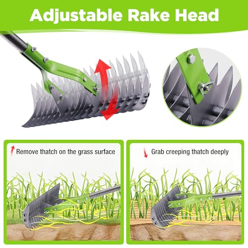 WORKPRO Thatch Rake, 15-Inch Thatching Rake with Telescoping 5FT Handle