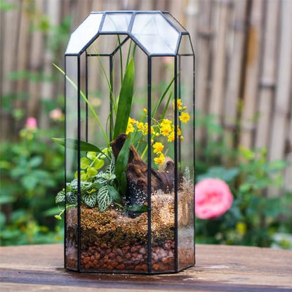 NCYP No Door Glass Geometric Octagon Open Terrarium 5.5"x5.5"x12.8"