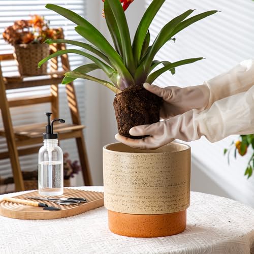 8 Inch Ceramic Self Watering Planter with Drainage Hole, Brush - color: Brush, size: Medium