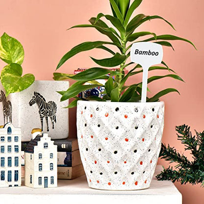KINGLAKE GARDEN 50 Pcs White Large Tall Plant Labels - color: White