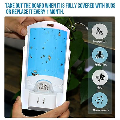 OSVDO Flying Insect Trap Refills, 10 Pcs Glue Cards, White - size: 10 x Refills