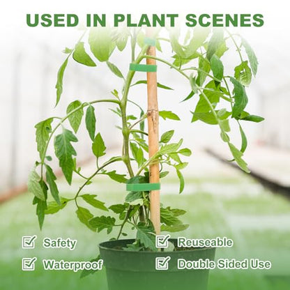 5 Rolls 165 Ft Green Plant Tape for Climbing Plants, 1/2 Inch Reusable Plant Stretch Ties, Adjustable Tomato Plant Supports, Plant Twist Ties for Gardening, Home, Office