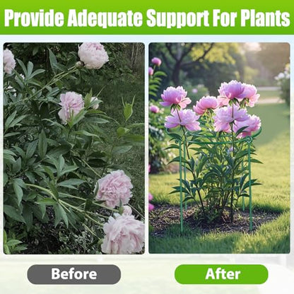 4 Pack Large Peony Cages and Supports, 14" D x 24" H Metal Plant Supports - size: 14" Wx24" H-4 Pack