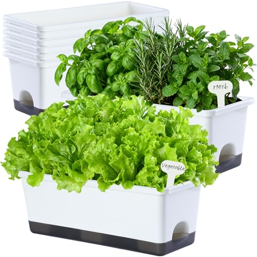 Oliz Window Box Planter 8 Pcs, 17 Inches Rectangle Flower Pots with Drainage Holes & Trays, Vegetable Planters for Windowsill Patio Garden Balcony Home Indoor Outdoor (White, 16 * 7 * 6 inch) - color: White