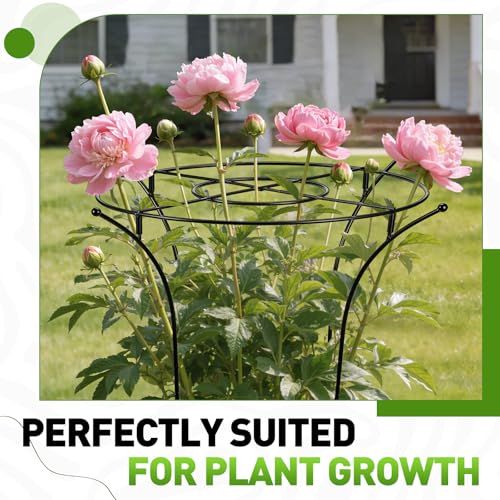1 Pack Metal Peony Plant Support Cage, 32.2 x 19.2 Inch with Wide Top Ring