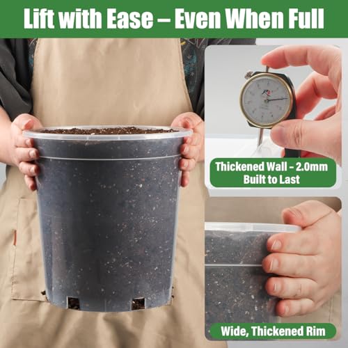 BTPLASTIK 0.5 Gallon Clear Nursery Pots with Saucers 10P, 6.5 Inch Round Plastic Plant Pots with Drainage Holes - size: 0.5 Gallon + Saucers 10P