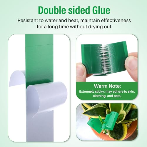 100 Pcs Gnat Sticky Traps for Plants, Sticky Traps for Gnats with 20 Stakes to Control, Aphids, Plant Bug, Mosquito Bits and Whiteflies(Transparent) - color: Transparent