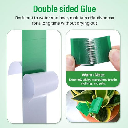 100 Pcs Gnat Sticky Traps for Plants, Sticky Traps for Gnats with 20 Stakes to Control, Aphids, Plant Bug, Mosquito Bits and Whiteflies(Green) - color: Green