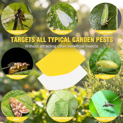 60 Pack Yellow Sticky Traps for Gnats, Fruit Fly Traps for Indoors Plants - size: 60Packs
