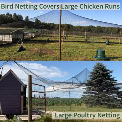 25x50ft Bird Netting for Chicken Coop, 1" Mesh Chicken Netting Cover - size: 25x50FT-1"