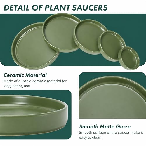 D'vine Dev Ceramic Plant Saucer/Drainage Tray, 10.4 in, Olive, 97-T-C-5 - color: Olive, size: 10.4" (1 Pack)