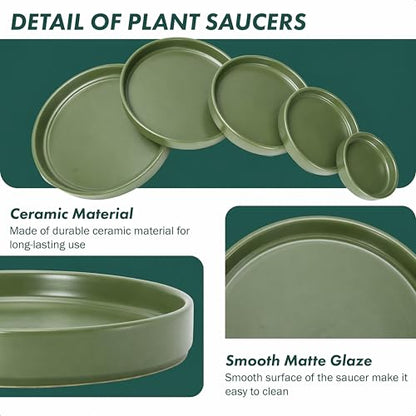 D'vine Dev Ceramic Plant Saucer/Drainage Tray, 10.4 in, Olive, 97-T-C-5 - color: Olive, size: 10.4" (1 Pack)