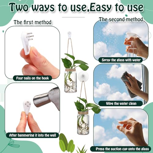 Baderke 9 Set Window Hanging Propagation Stations 3.54'' Plastic Vases - style: Stylish