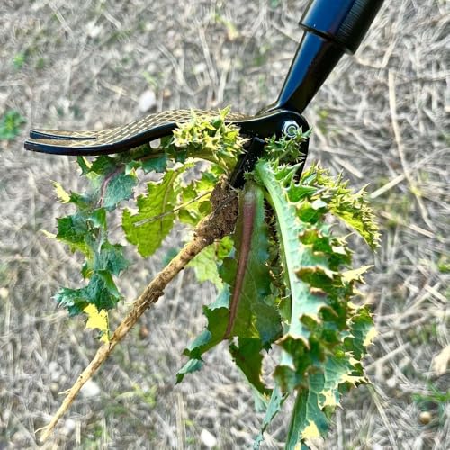 Stand on Weeding Tool, Long Handled Lawn Weeder