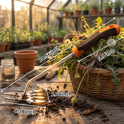 Weed Puller Tool, Heavy Duty Stainless Steel Garden Weed Puller with 4-Tine & Root Removal Fork, Weeding Tool, Deep Root Weed Remover for Dandelion, Crabgrass & Thistle, 2-in-1 Garden Tools (Orange)