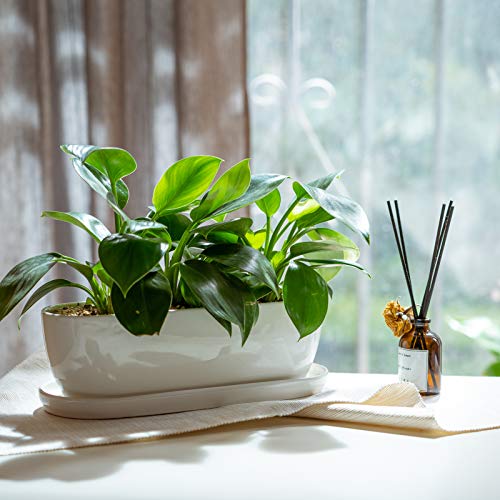 E-liu 11 Inch Oval Ceramic Planter Pot with Drainage Hole Saucers - color: White, size: 11 inch Single